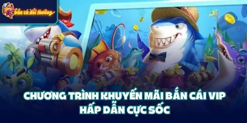 Chương trình khuyến mãi bắn cái Vip hấp dẫn cực sốc