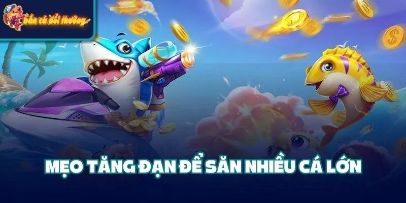 Mẹo tăng đạn để săn nhiều cá lớn 